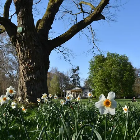 Stadt-appartement Citylife *