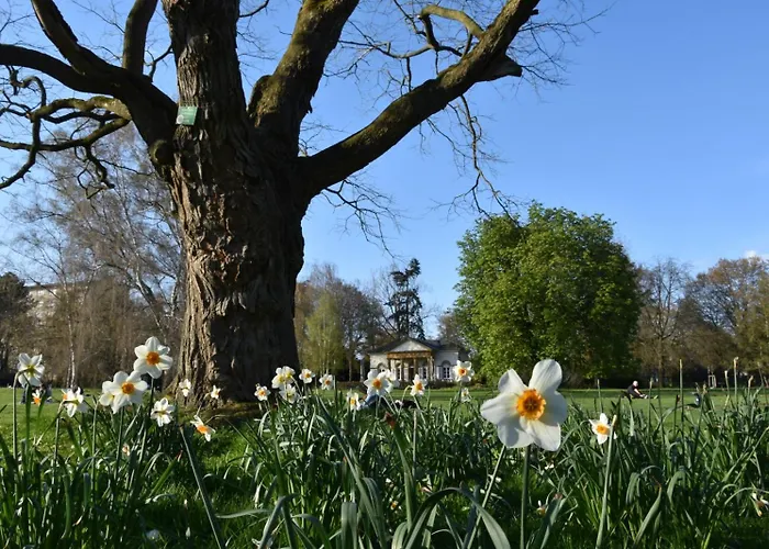 Stadt-appartement Citylife *